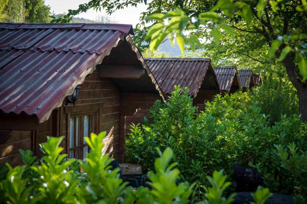 Fuente Del Lobo Glamping & Bungalows - Adults Only Пинос-Хениль Экстерьер фото